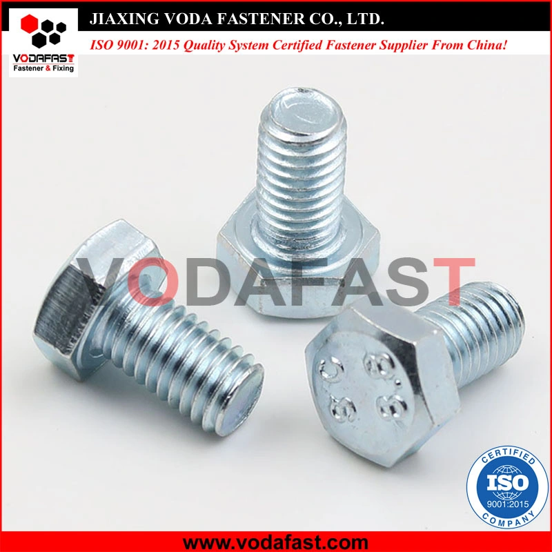 Carbon Steel Stainless Steel Hex Bolts Flange Bolts Square Bolts Carriage Bolts Plow Bolts Elevator Bolts